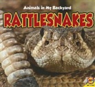 Aaron Carr - Rattlesnakes