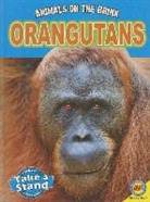 Patricia Miller-Schroder - Orangutans