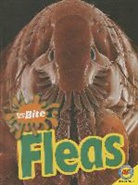Megan Kopp - Fleas