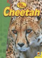 Steve Goldsworthy - Cheetah