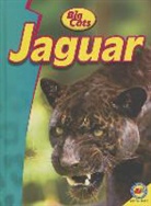 Lauren Diemer - Jaguar