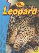 Steve Goldsworthy - Leopard