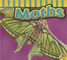 Aaron Carr - Moths