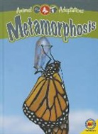 Megan Kopp, Jack Zayarny - Metamorphosis
