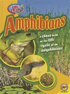 Jack Zayarny - Amphibians