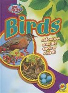 Steve Goldsworthy - Birds