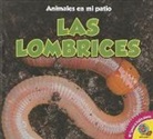 Aaron Carr - Las Lombrices