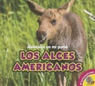 Aaron Carr - Los Alces Americanos