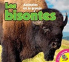 Aaron Carr - Los Bisontes