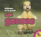 Aaron Carr - Los Gansos