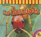 Aaron Carr - Las Hormigas