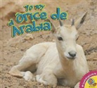 Aaron Carr - Yo Soy el Orice de Arabia