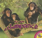 Aaron Carr - Yo Soy el Chimpance