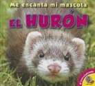 Aaron Carr - El Huron