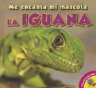 Aaron Carr - La Iguana