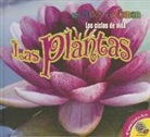 Aaron Carr - Las Plantas