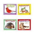 Isabel Martin - Animal Kingdom Questions and Answers
