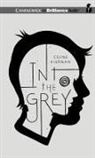 Celine Kiernan, Celine/ Doyle Kiernan, Gerard Doyle - Into the Grey (Audio book)