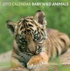 Peony Press - 2015 Baby Wild Animals Calendar