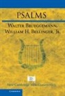Jr Bellinger, W. H. Bellinger Jr, William H. Bellinger Jr, Walter Brueggemann, Walter Bellinger Brueggemann, Walter Miller Brueggemann... - Psalms
