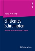 Markus Oberndörfer - Effizientes Schrumpfen