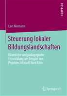 Lars Niemann - Steuerung lokaler Bildungslandschaften