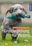 Anton Fichtlmeier - Grunderziehung für Welpen