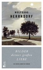 Wolfgang Herrndorf - Bilder deiner großen Liebe
