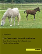 Car Bräuer, Carl Bräuer - Die Gestüte des In- und Auslandes