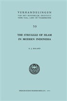 B J Boland, B. J. Boland - The Struggle of Islam in Modern Indonesia