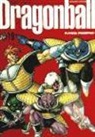 Akira Toriyama - Dragon Ball 19
