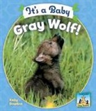 Kelly Doudna - It's a Baby Gray Wolf!