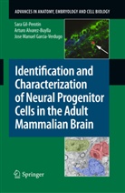 Artur Alvarez-Buylla, Arturo Alvarez-Buylla, Sara García Gil-Perotin, Garcia-Ve, Jose Manuel Garcia-Verdugo, Sar Gil-Perotín... - Identification and Characterization of Neural Progenitor Cells in the Adult Mammalian Brain