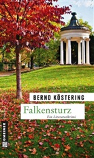 Bernd Köstering - Falkensturz
