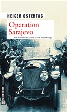 Heiger Ostertag, Heiger (Dr.) Ostertag - Operation Sarajevo