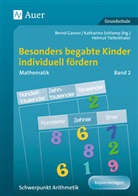 Bernd Ganser, H Tiefenthaler, H. Tiefenthaler, Katharina Schlamp, Helmut Tiefenthaler, Ganser... - Besonders begabte Kinder individuell fördern, Mathematik. Bd.2