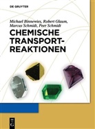 Michae Binnewies, Michael Binnewies, Rober Glaum, Robert Glaum, Marcus Schmidt, Marcus u Schmidt... - Chemische Transportreaktionen