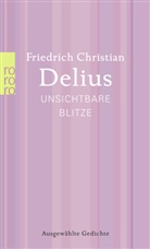 Friedrich Christian Delius - Unsichtbare Blitze