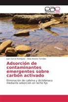 Silvia Alvarez Torrellas, Jua García Rodríguez, Juan García Rodríguez - Adsorción de contaminantes emergentes sobre carbón activado
