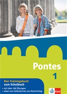 Maria Anna Söllner - Pontes, Latein für Gymnasien - 1: Pontes 1 - Das Trainingsbuch zum Schulbuch