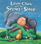 Malachy Doyle, Gill Mclean - Little Chick and the Secret of Sleep