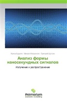 Irina Budagyan, Mikhail Ilyushechkin, Grigoriy Shchuchkin - Analiz formy nanosekundnykh signalov
