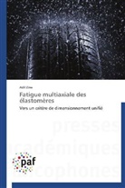Adil Zine, Zine-a - Fatigue multiaxiale des elastomeres