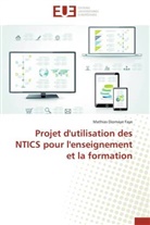 Mathias Diomaye Faye, Faye-m - Projet d utilisation des ntics