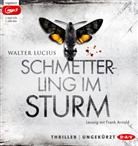 Walter Lucius, Frank Arnold - Schmetterling im Sturm, 2 Audio-CD, 2 MP3 (Hörbuch)