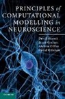 Andrew Gillies, Bruce Graham, Bruce (University of Stirling) Graham, David Sterratt, David (University of Edinburgh) Sterratt, David (University of Edinburgh) Graham Sterratt... - Principles of Computational Modelling in Neuroscience