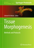 Celest M Nelson, Celeste M Nelson, Celeste M. Nelson - Tissue Morphogenesis