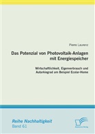 Pierre Laurenz - Das Potenzial von Photovoltaik-Anlagen mit Energiespeicher: Wirtschaftlichkeit, Eigenverbrauch und Autarkiegrad am Beispiel Ecolar-Home