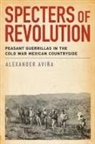 Alexander Avina, Alexander (Assistant Professor of History Avina - Specters of Revolution