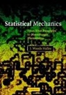J. W. Halley, J. Woods Halley - Statistical Mechanics